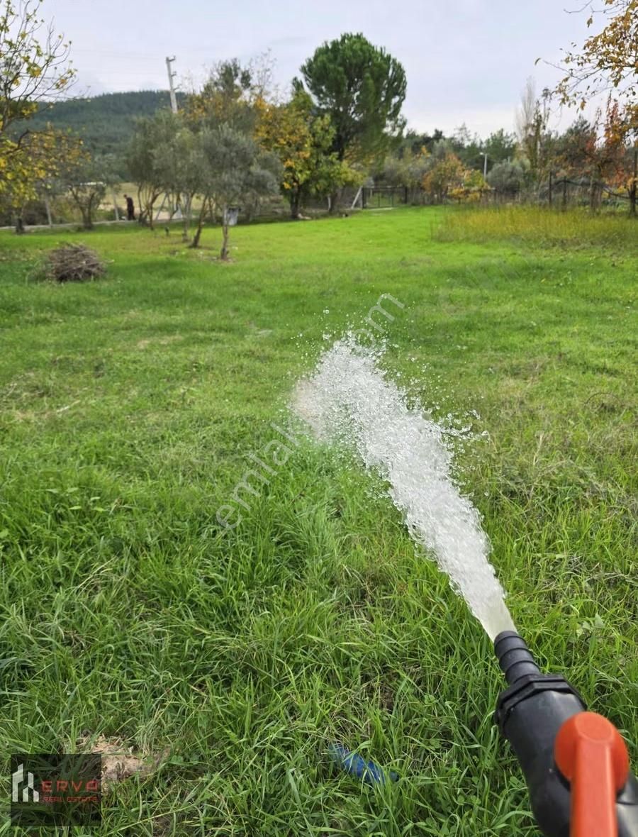 Menderes Yeniköy Müstakil Tek Tapulu Arazı