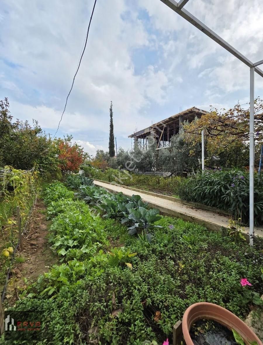 Menderes Oğlananasında Sıcak Ve Huzurlu Müstakil Ev - Görsel 4