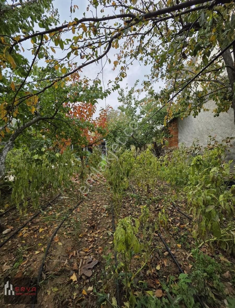 Menderes Oğlananasında Sıcak Ve Huzurlu Müstakil Ev - Görsel 9