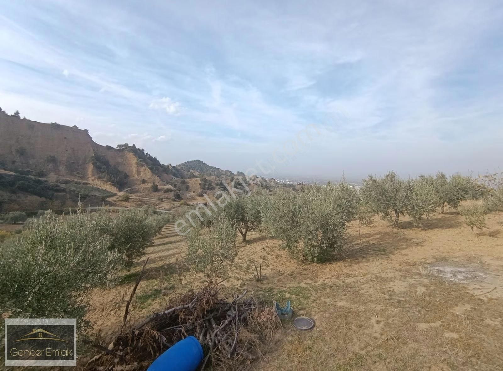 Salihli Karaağaç Kurudere Mevkiinde 4,5 Dönüm Zeytinlik. - Görsel 2