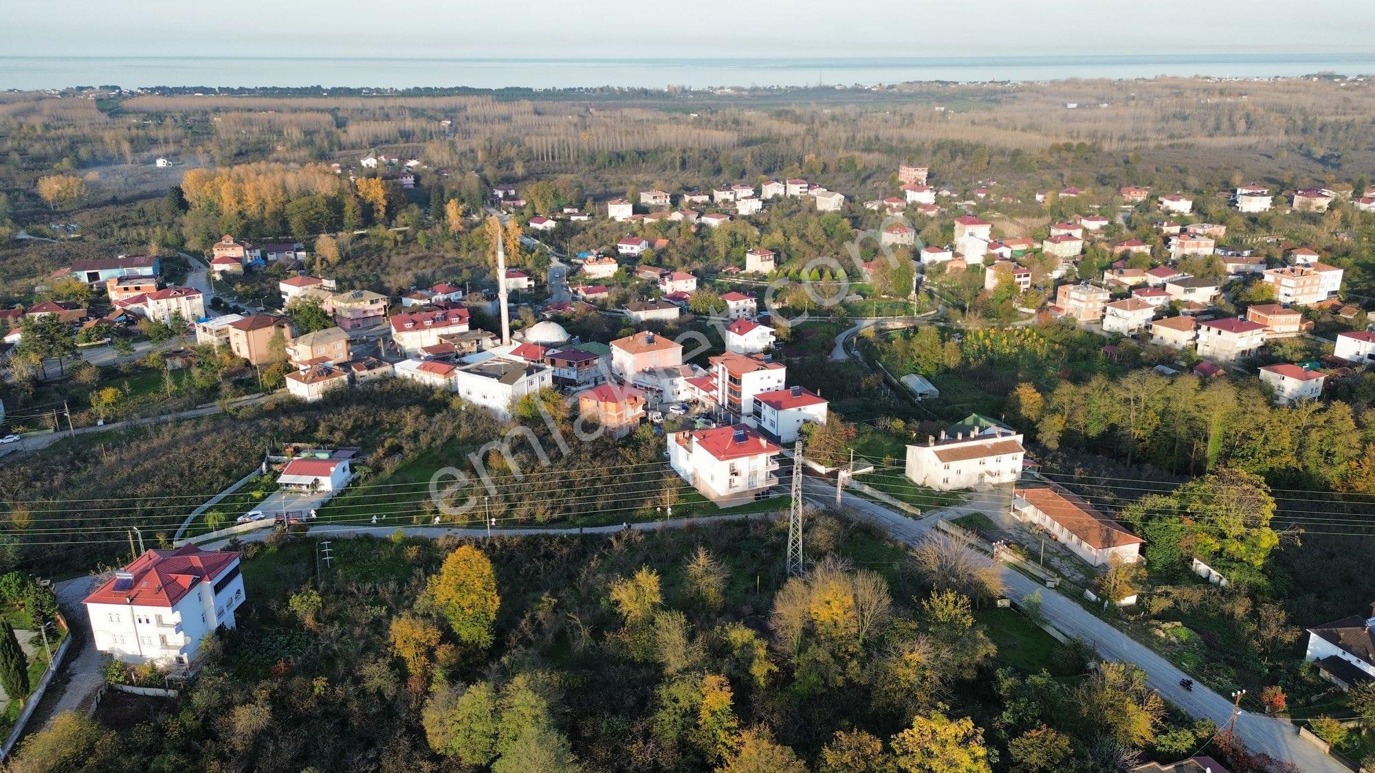 St Bodrum Gayrimenkul Den Fırsat Arsa - Görsel 5