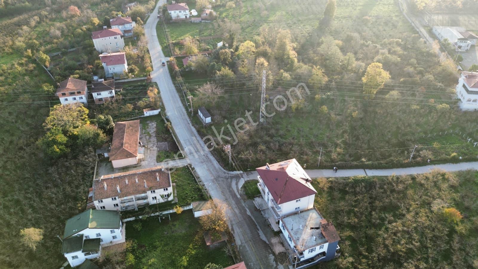 St Bodrum Gayrimenkul Den Fırsat Arsa - Görsel 7