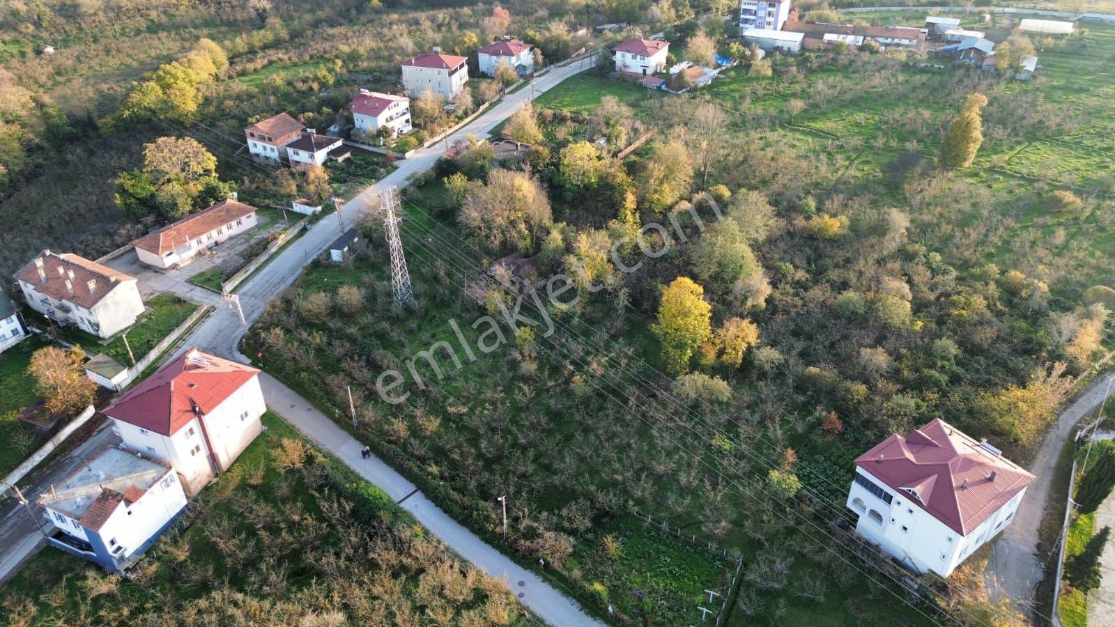 St Bodrum Gayrimenkul Den Fırsat Arsa - Görsel 6