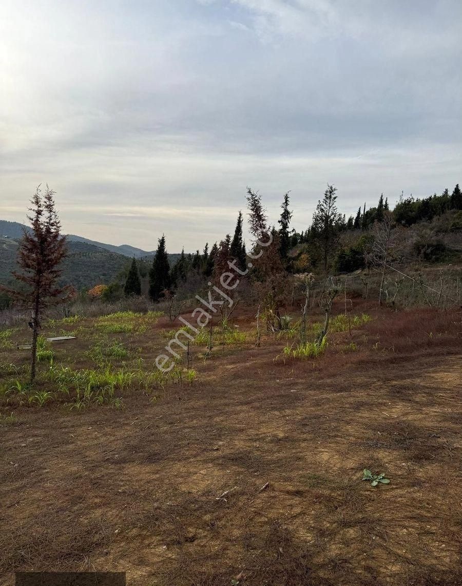 Nexus'tan Kumbağ'da Müstakil Satılık Tinyhouse Dağ Evi - Görsel 8