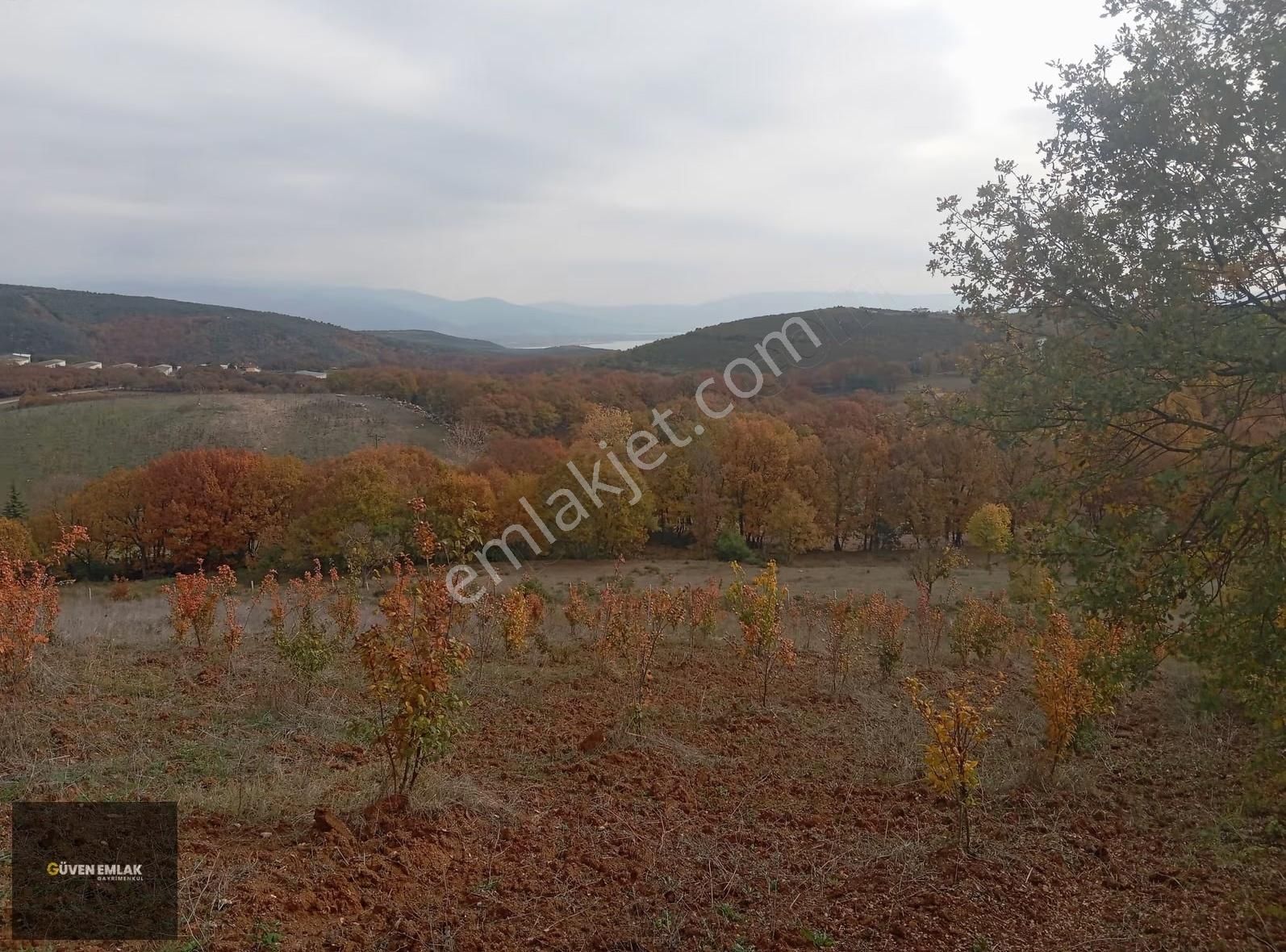 İznik Güven Emlaktan Satılık Köy Asfaltına Cepheli Tarla. - Görsel 6