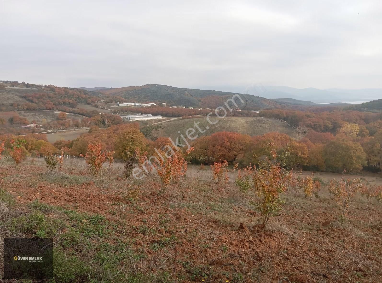 İznik Güven Emlaktan Satılık Köy Asfaltına Cepheli Tarla. - Görsel 3