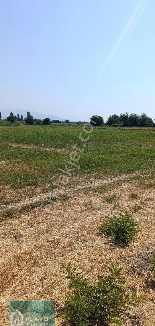 Serçeköy De Satılık Verimli Tarla - Görsel 11