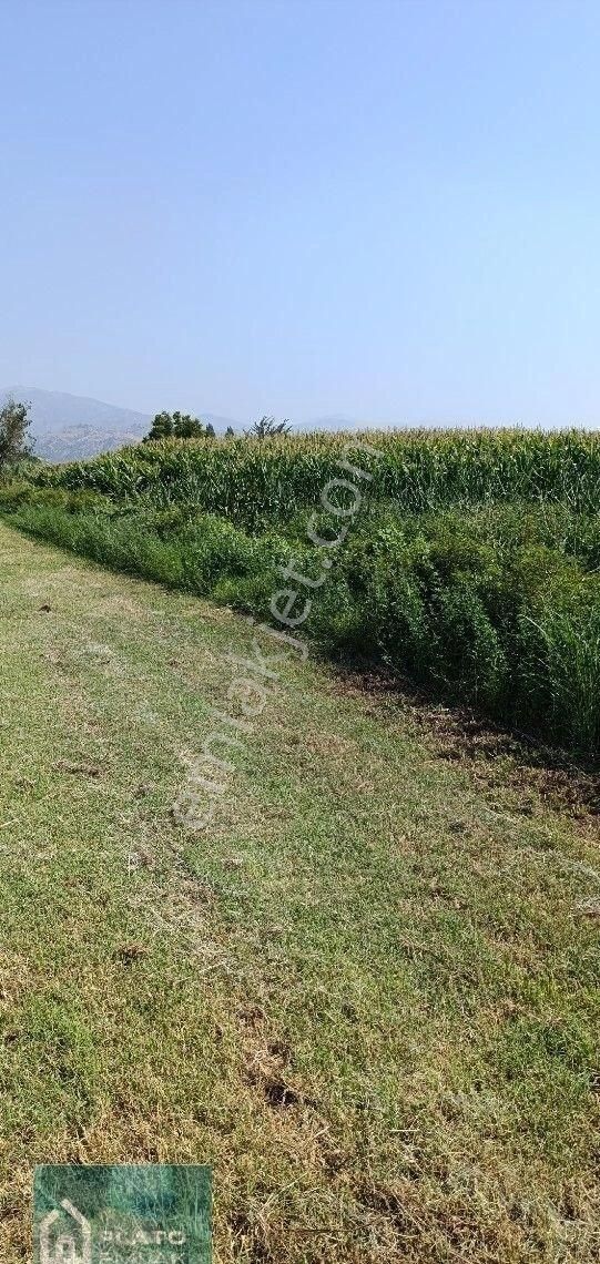 Serçeköy De Satılık Verimli Tarla