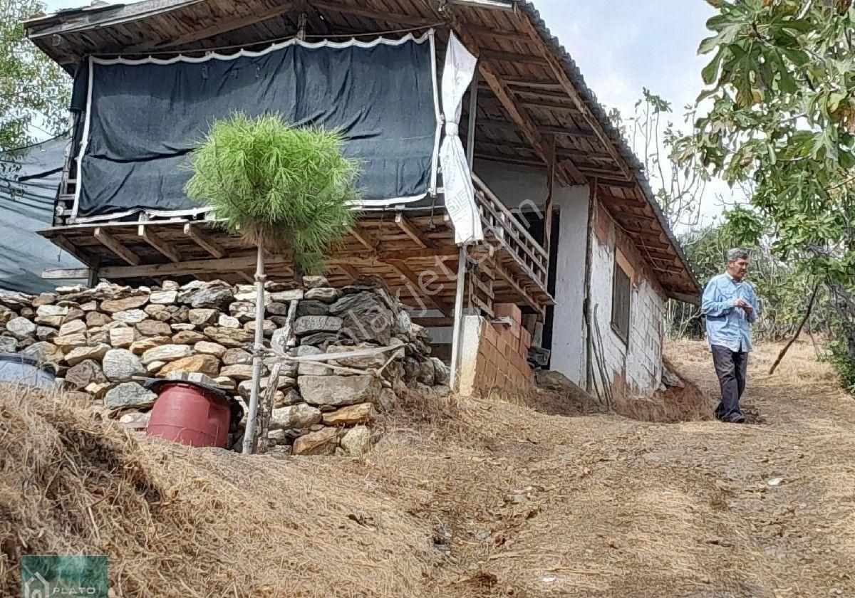 Satılık Bag Evi Ve Zeytin İncir Bahcesi - Görsel 17