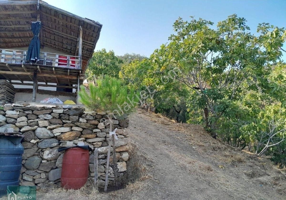 Satılık Bag Evi Ve Zeytin İncir Bahcesi - Görsel 10