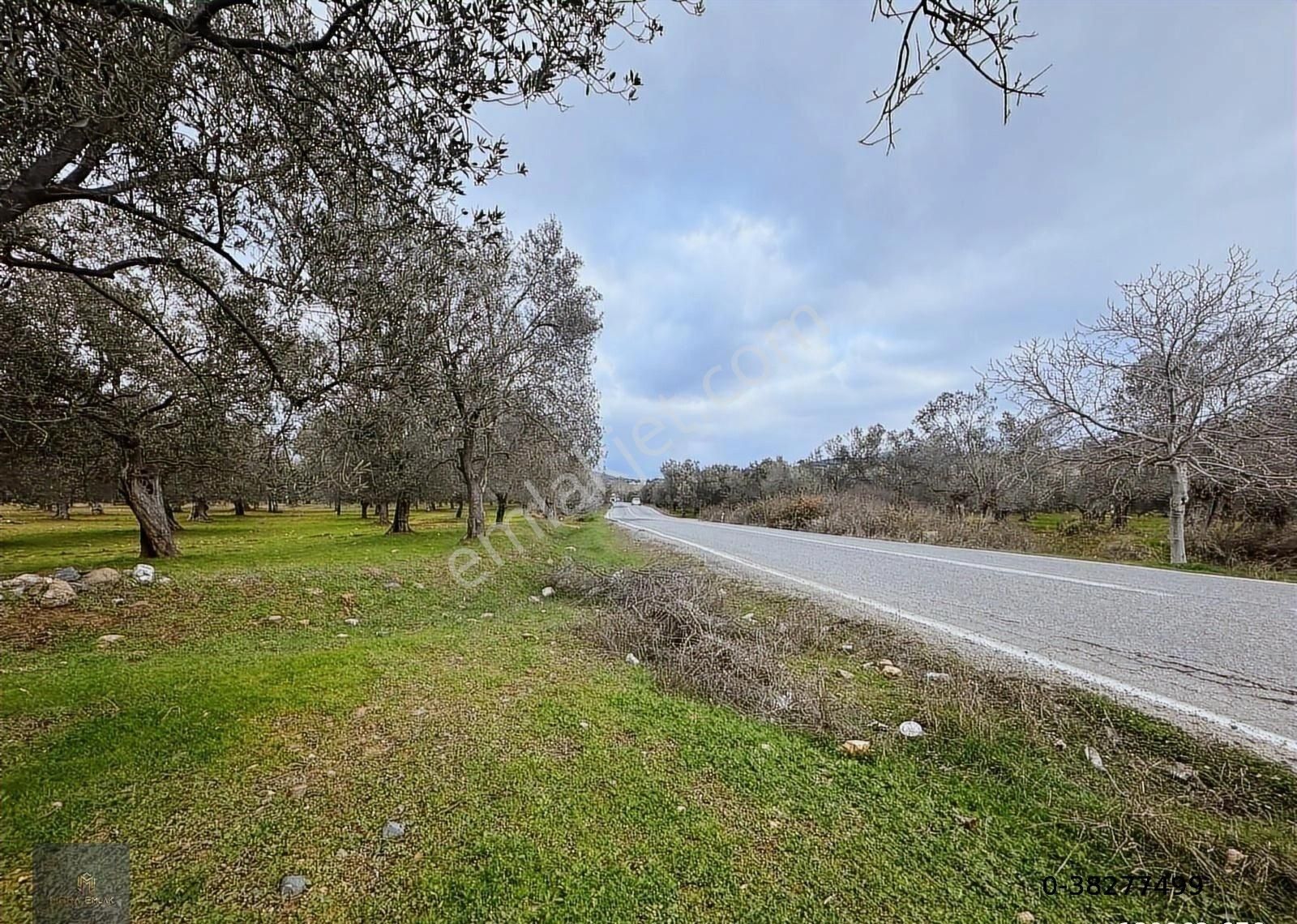 ▀▄mera Emlaktan Tuzcumurat Mah. Asfalta Cephe 9.400 M2 Zeytinlik - Görsel 23