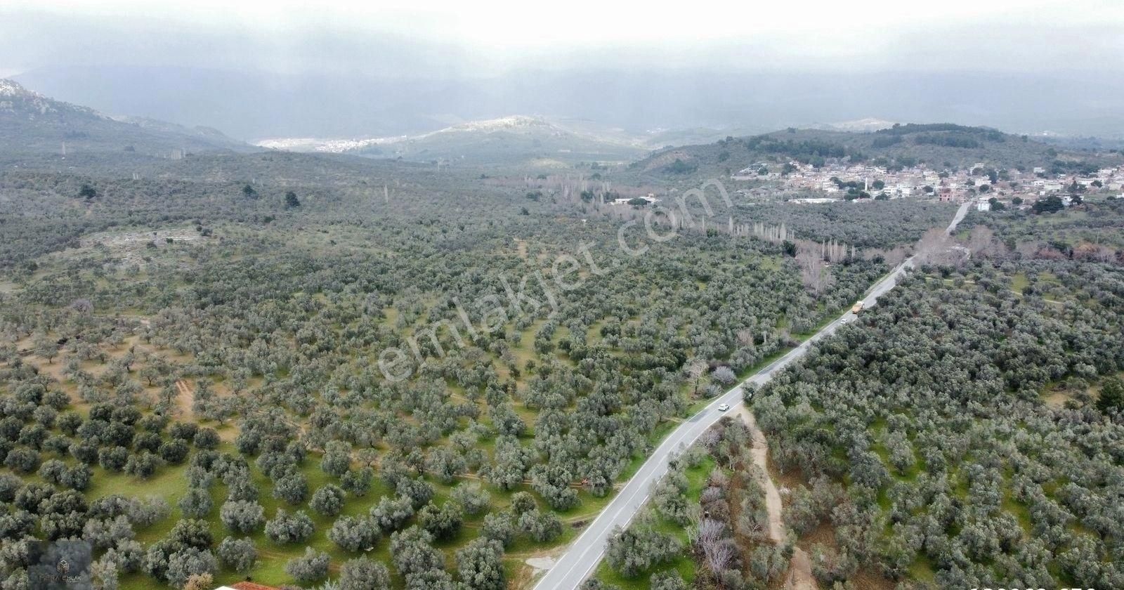 ▀▄mera Emlaktan Tuzcumurat Mah. Asfalta Cephe 9.400 M2 Zeytinlik - Görsel 29