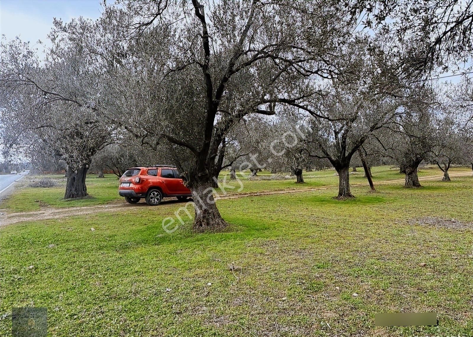 ▀▄mera Emlaktan Tuzcumurat Mah. Asfalta Cephe 9.400 M2 Zeytinlik - Görsel 15
