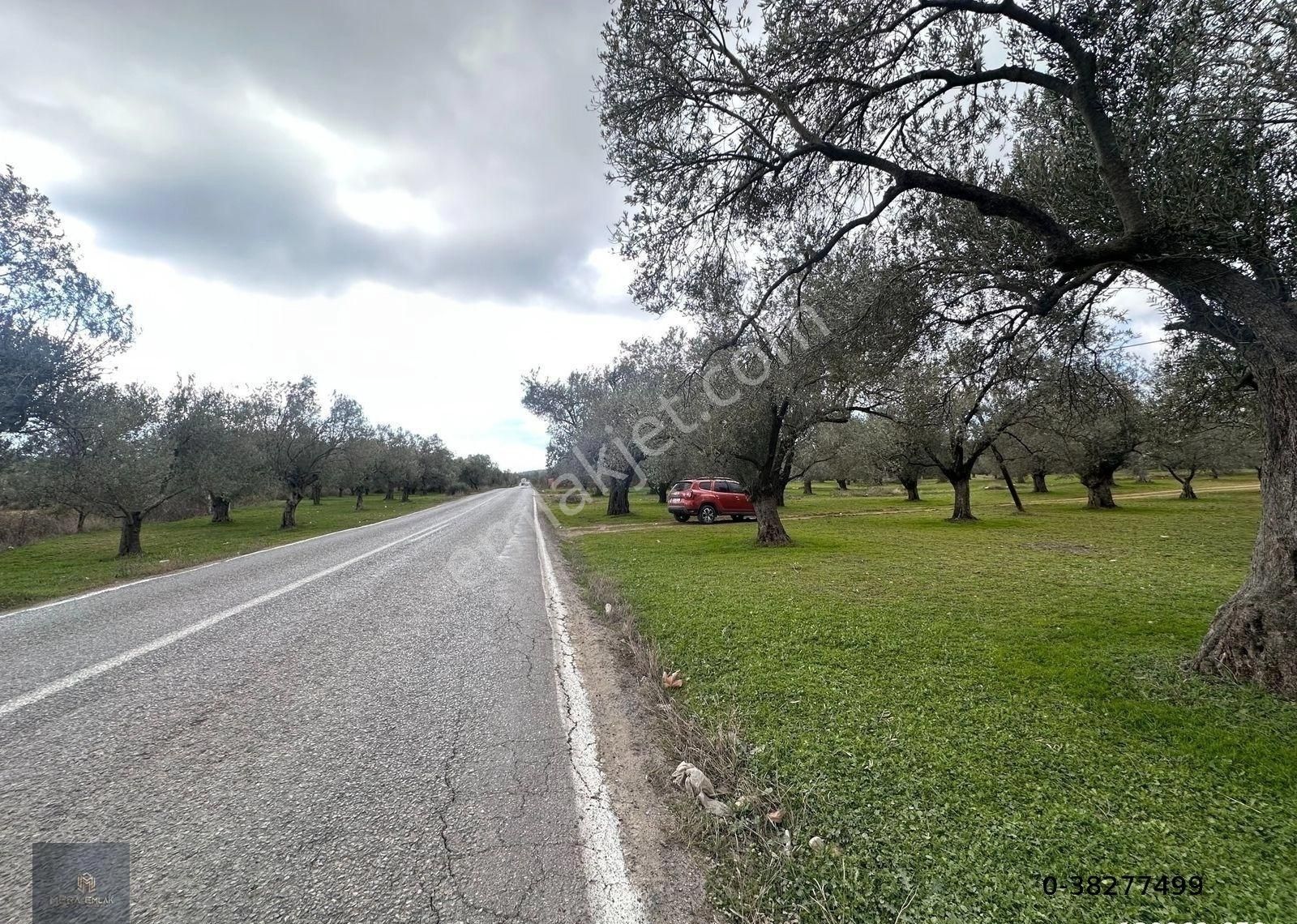 ▀▄mera Emlaktan Tuzcumurat Mah. Asfalta Cephe 9.400 M2 Zeytinlik - Görsel 20