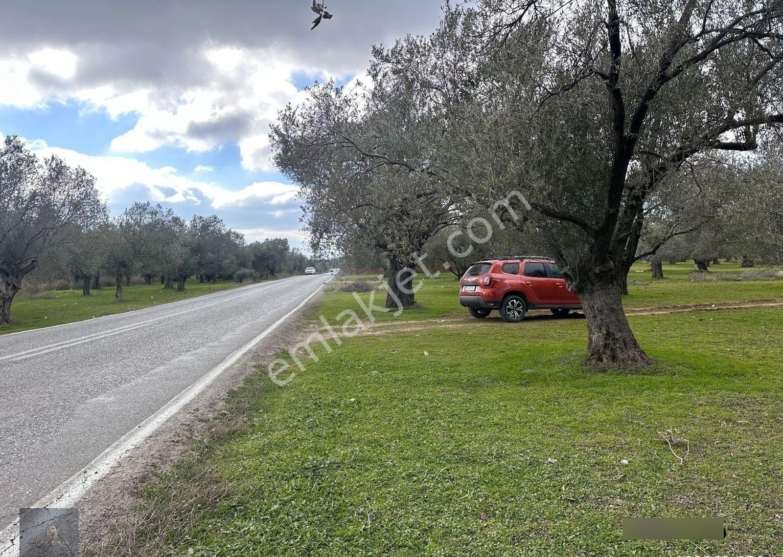 ▀▄mera Emlaktan Tuzcumurat Mah. Asfalta Cephe 9.400 M2 Zeytinlik - Görsel 9