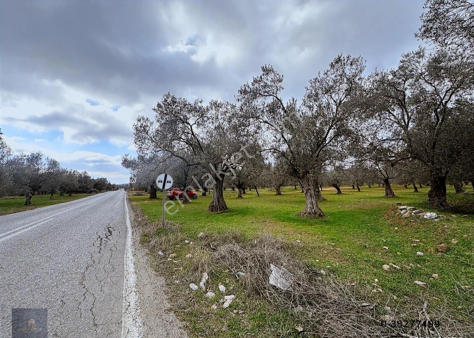 ▀▄mera Emlaktan Tuzcumurat Mah. Asfalta Cephe 9.400 M2 Zeytinlik - Görsel 30