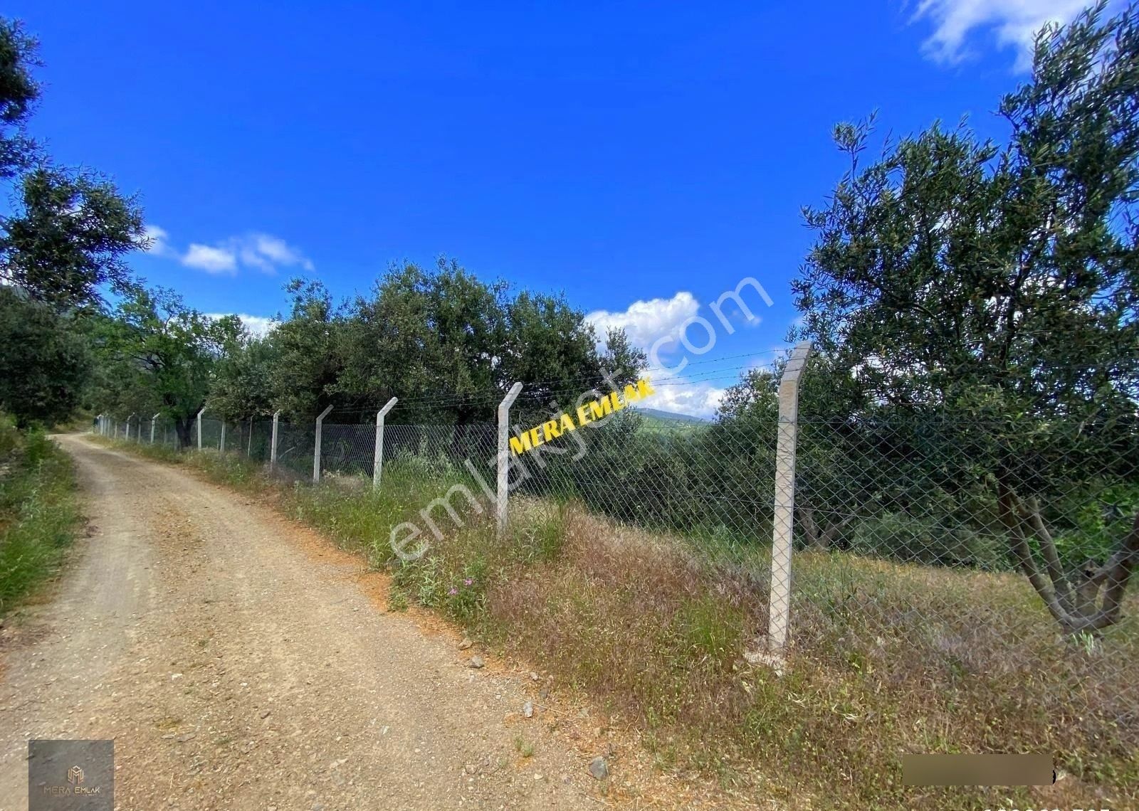 ▀▄mera Emlaktan Pınarbaşı Köyünde 7.700m2 Yola Cepheli Zeytinlik - Görsel 2