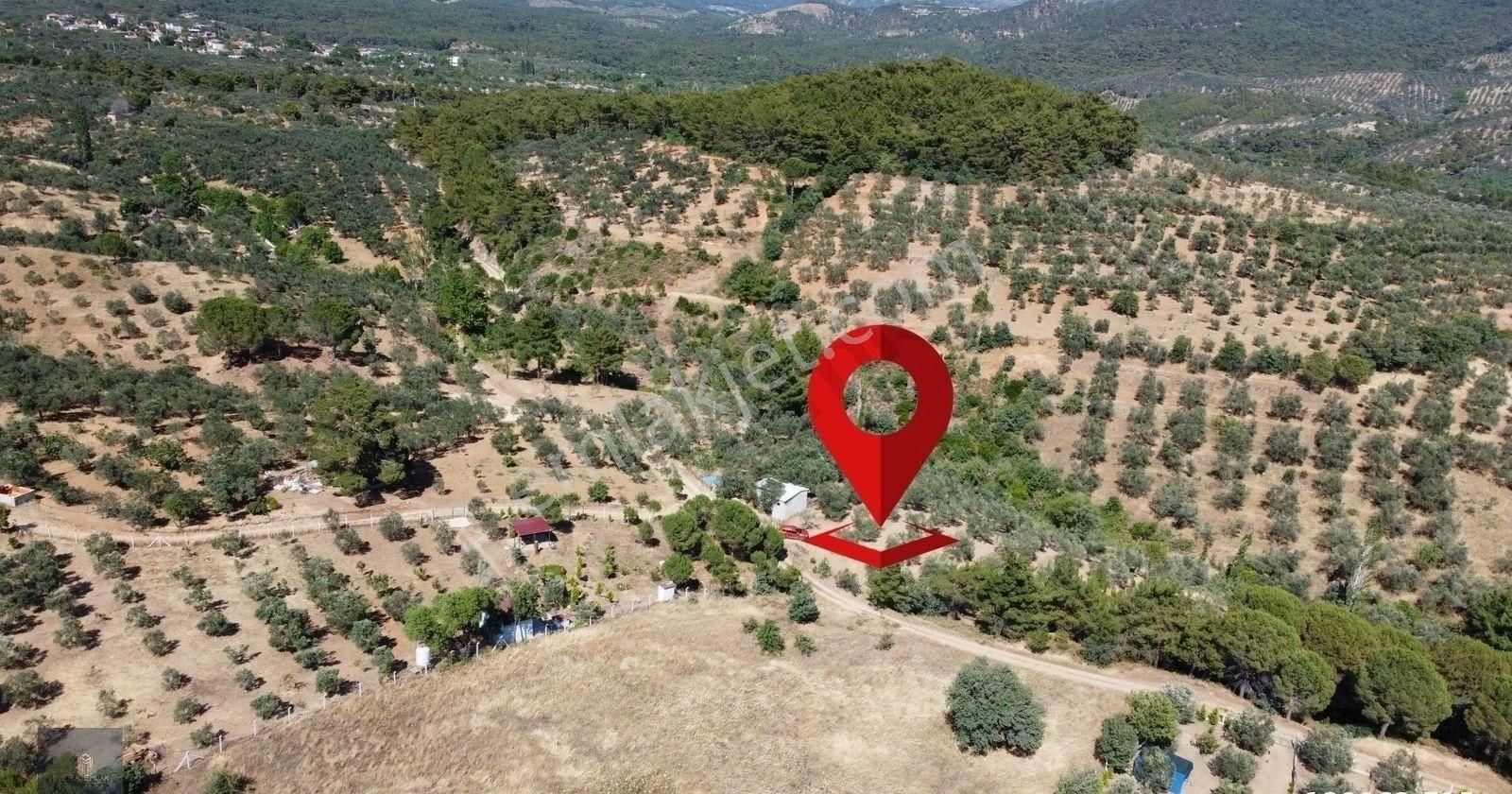 ▀▄mera Emlaktan Kazdağları Hacıarslanlar Köyü 2.270 M2 Zeytinlik - Görsel 13