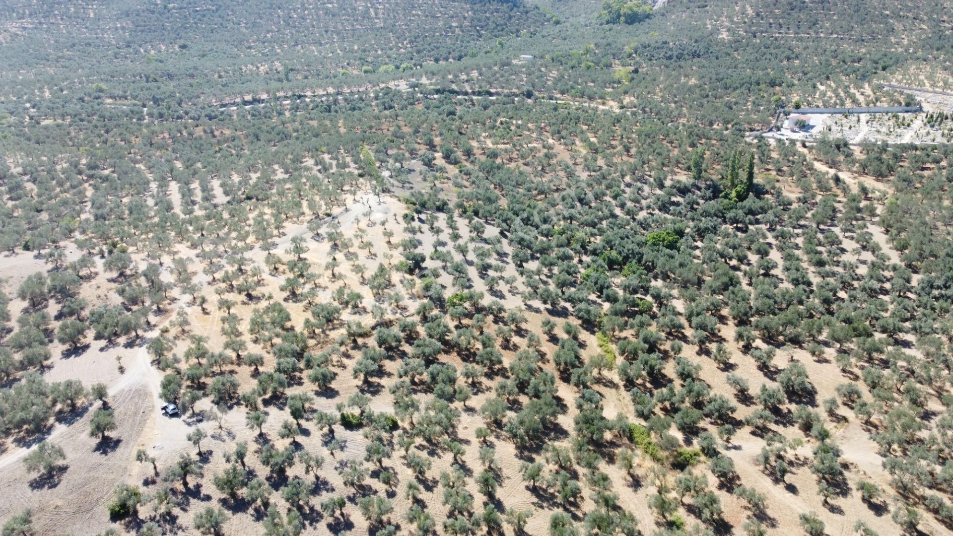 Mera Emlaktan Tuzcumurat Mh. 100 Binlik İmarda 8.190m2 Zeytinlik - Görsel 17