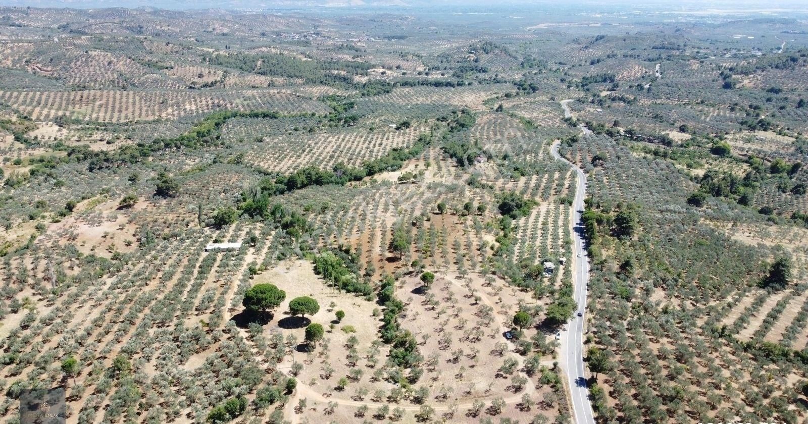 ▀▄mera Emlaktan Çamcı Köyü Asfalt Cepheli 29.360 M2 Zeytinlik▀▄ - Görsel 18