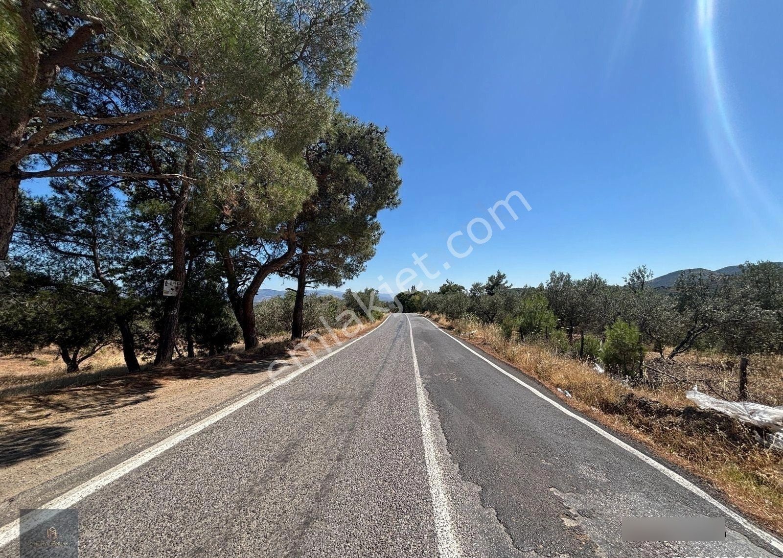 ▀▄mera Emlaktan Çamcı Köyü Asfalt Cepheli 29.360 M2 Zeytinlik▀▄ - Görsel 25