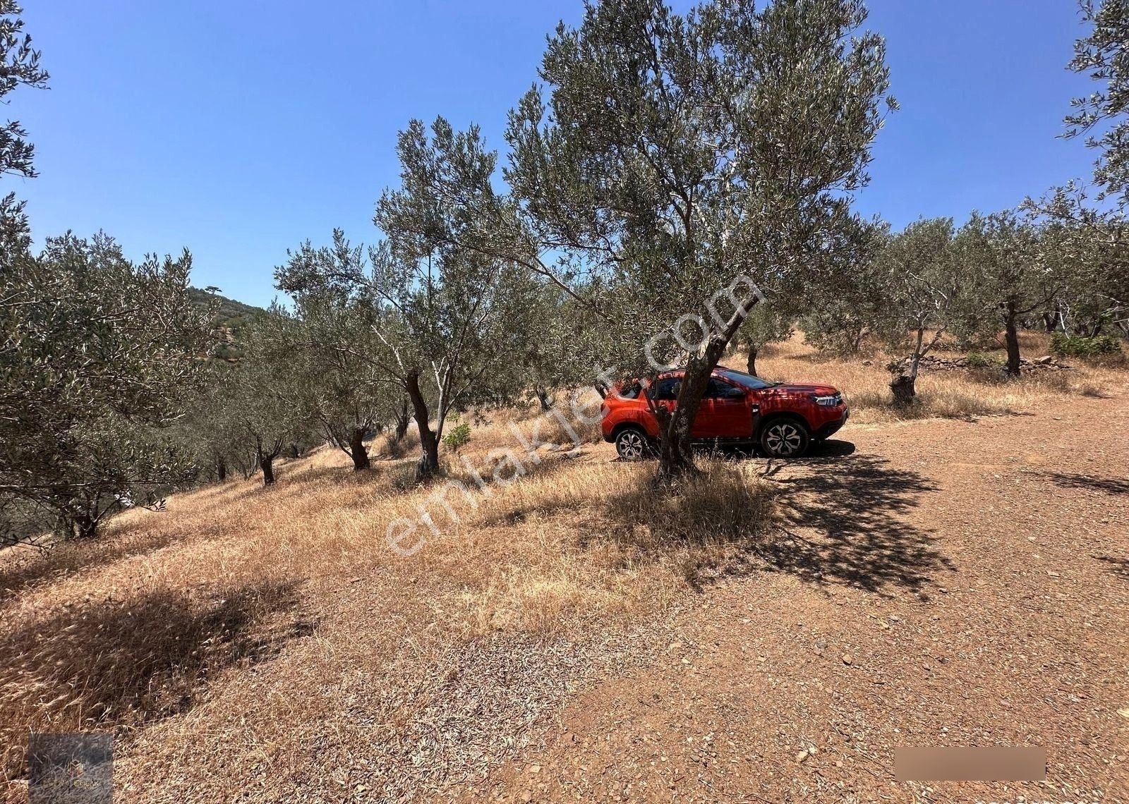 Mera Emlaktan Beyoba Köyü Asfalta Cephe 3.870 M2 Zeytinlik - Görsel 28