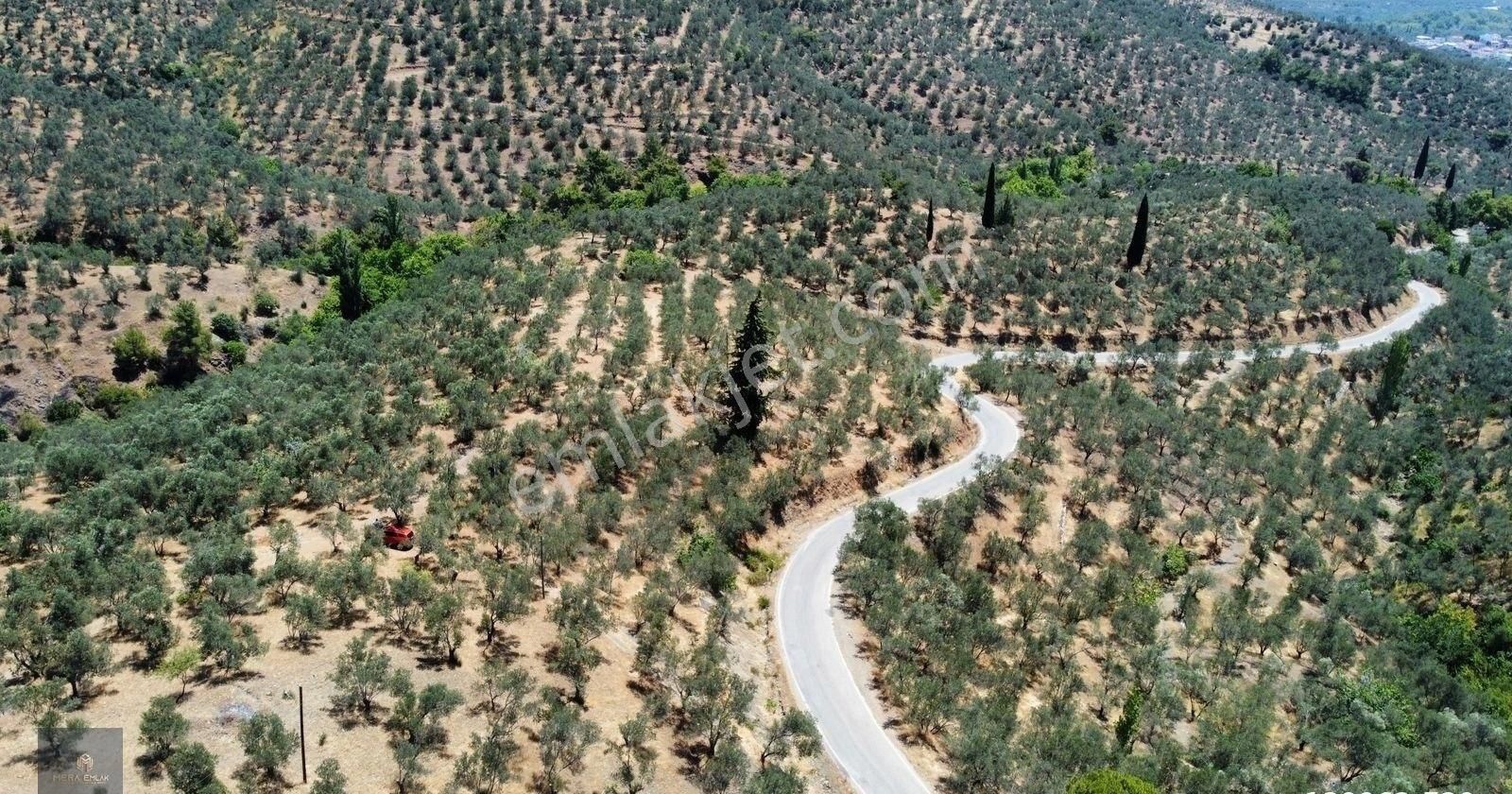 Mera Emlaktan Beyoba Köyü Asfalta Cephe 3.870 M2 Zeytinlik - Görsel 20