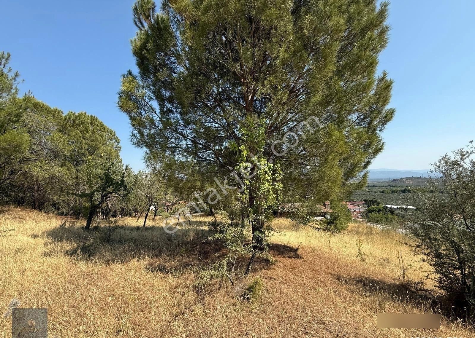 ▀▄mera Emlaktan Çamcı Köyü Tamamı İmar İçinde 880m2 Zeytinlik▀▄ - Görsel 27