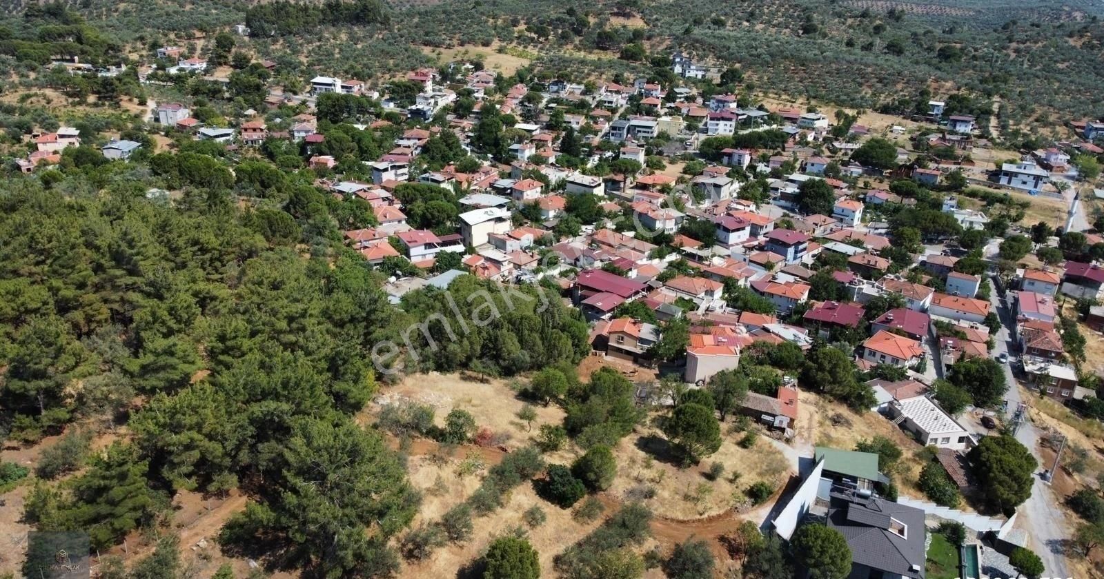 ▀▄mera Emlaktan Çamcı Köyü Tamamı İmar İçinde 880m2 Zeytinlik▀▄ - Görsel 11