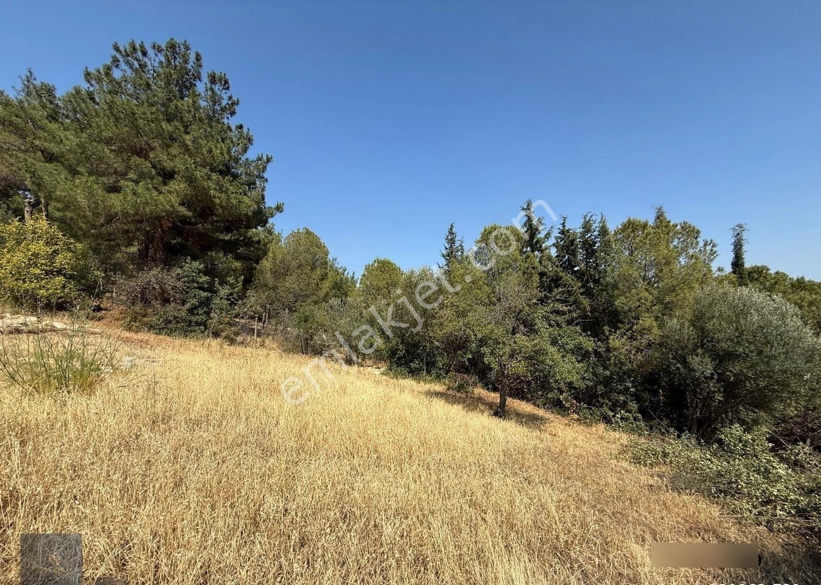 ▀▄mera Emlaktan Çamcı Köyü Tamamı İmar İçinde 880m2 Zeytinlik▀▄ - Görsel 12