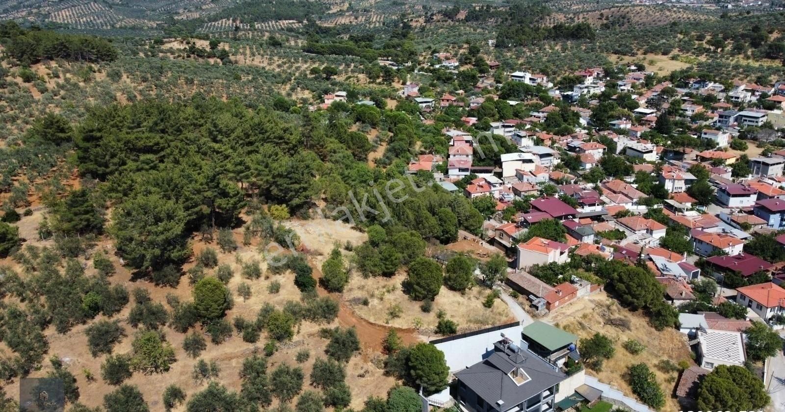 ▀▄mera Emlaktan Çamcı Köyü Tamamı İmar İçinde 880m2 Zeytinlik▀▄ - Görsel 23