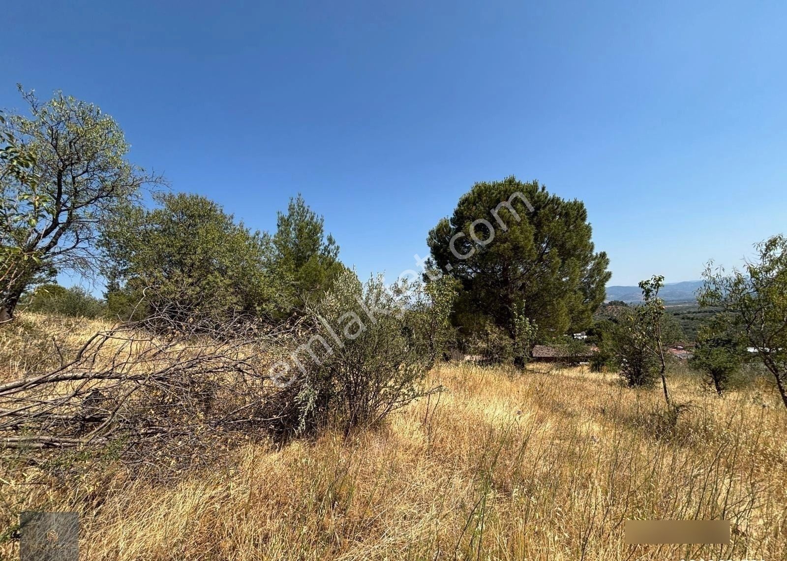 ▀▄mera Emlaktan Çamcı Köyü Tamamı İmar İçinde 880m2 Zeytinlik▀▄ - Görsel 8