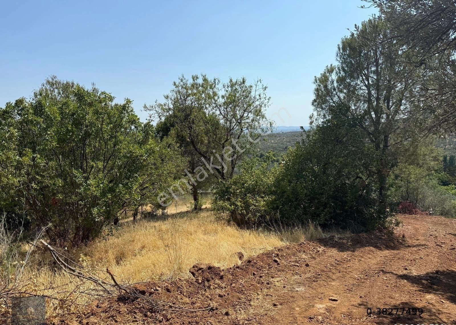 ▀▄mera Emlaktan Çamcı Köyü Tamamı İmar İçinde 880m2 Zeytinlik▀▄ - Görsel 3