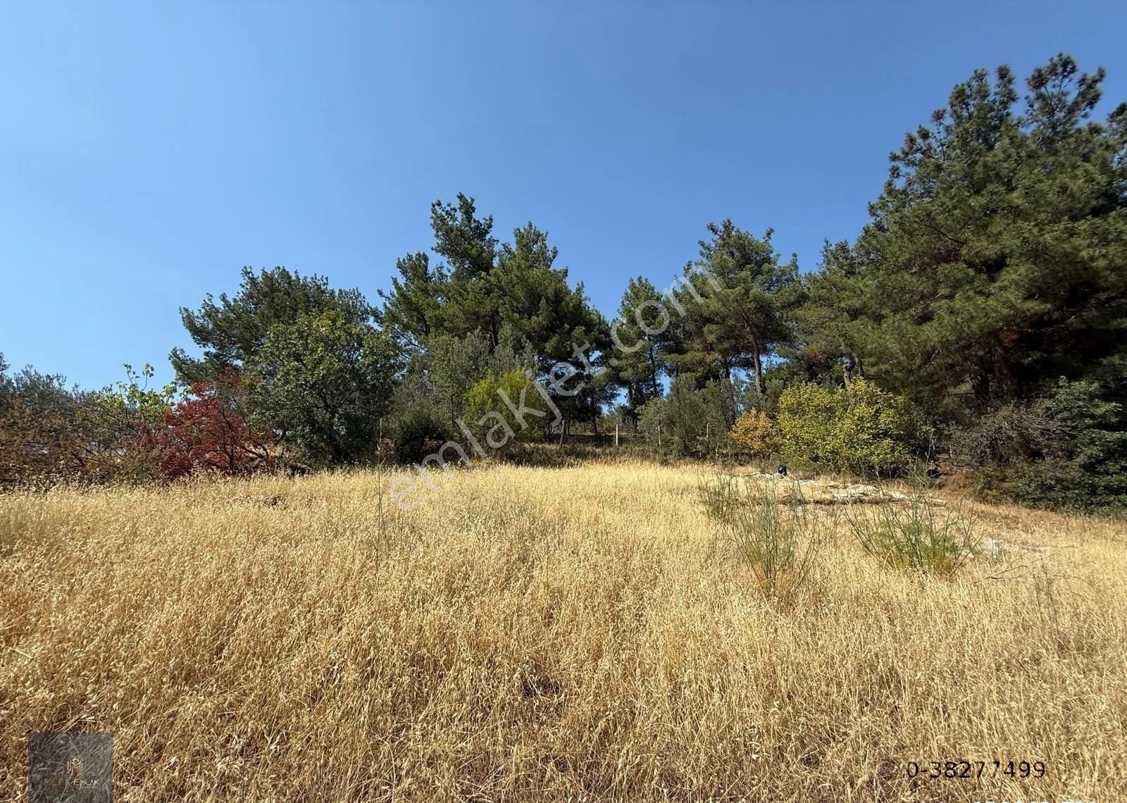 ▀▄mera Emlaktan Çamcı Köyü Tamamı İmar İçinde 880m2 Zeytinlik▀▄ - Görsel 6