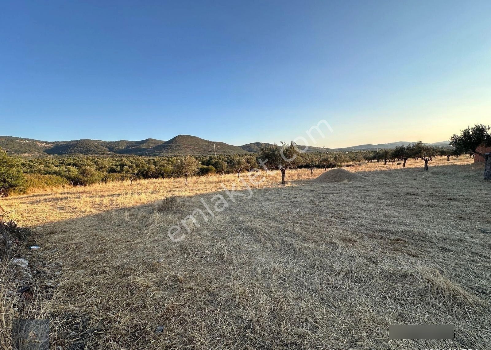 ▀mera Emlaktan Kızıklı Mevki 8.550 M2 İmarlı 27.160 M2 Zeytinlik - Görsel 15