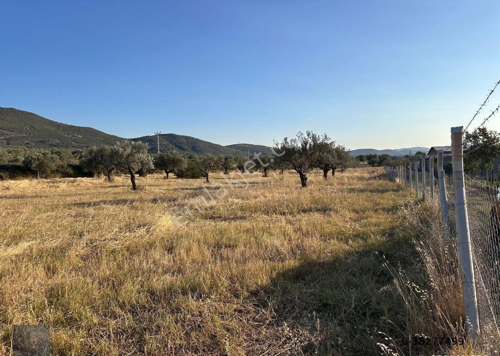 ▀mera Emlaktan Kızıklı Mevki 8.550 M2 İmarlı 27.160 M2 Zeytinlik - Görsel 11