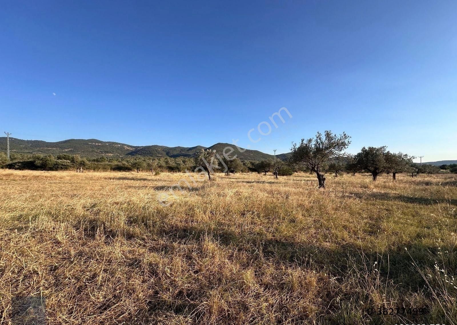 ▀mera Emlaktan Kızıklı Mevki 8.550 M2 İmarlı 27.160 M2 Zeytinlik - Görsel 22