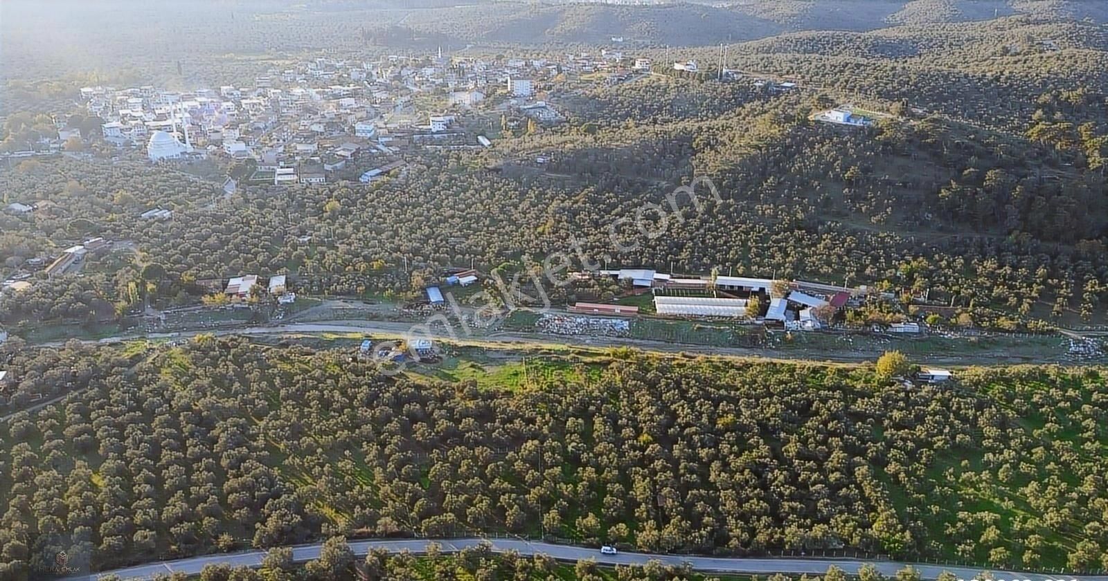 ▀▄mera Emlaktan Hamambaşı Mah. Asfalta Cephe 4.225m2 Zeytinlik - Görsel 35