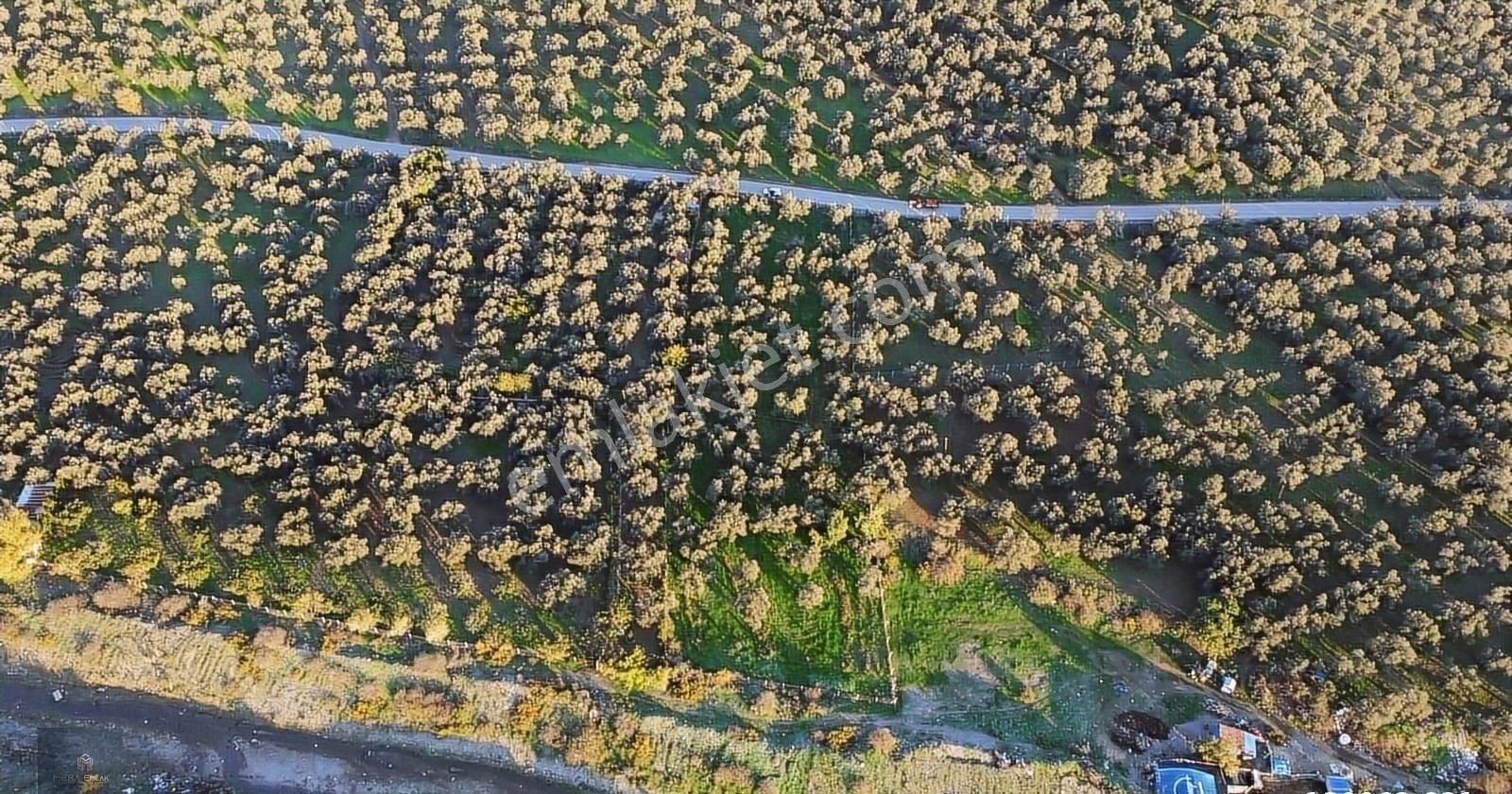 ▀▄mera Emlaktan Hamambaşı Mah. Asfalta Cephe 4.225m2 Zeytinlik - Görsel 17