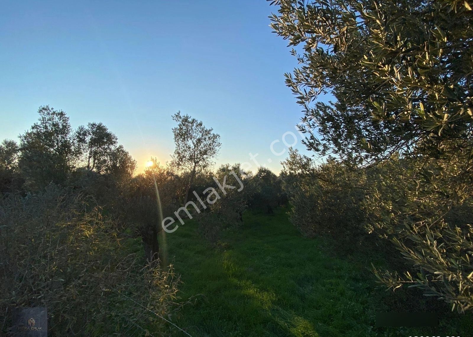 ▀▄mera Emlaktan Hamambaşı Mah. Asfalta Cephe 4.225m2 Zeytinlik - Görsel 11
