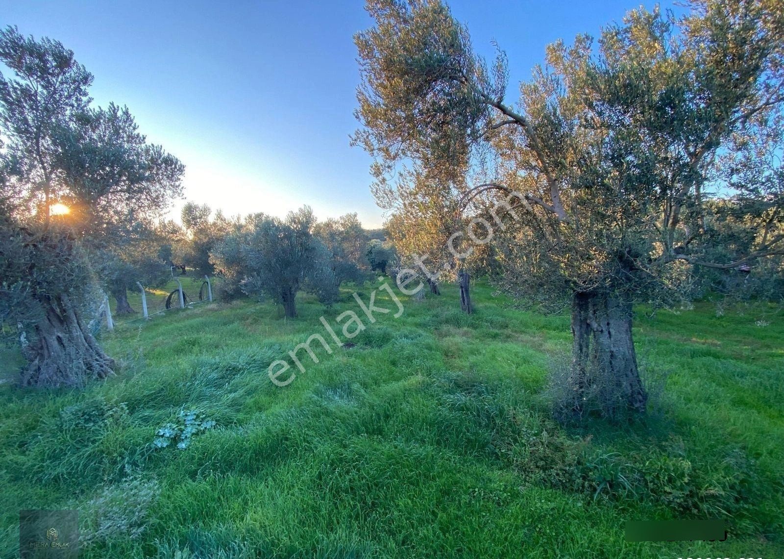▀▄mera Emlaktan Hamambaşı Mah. Asfalta Cephe 4.225m2 Zeytinlik - Görsel 5