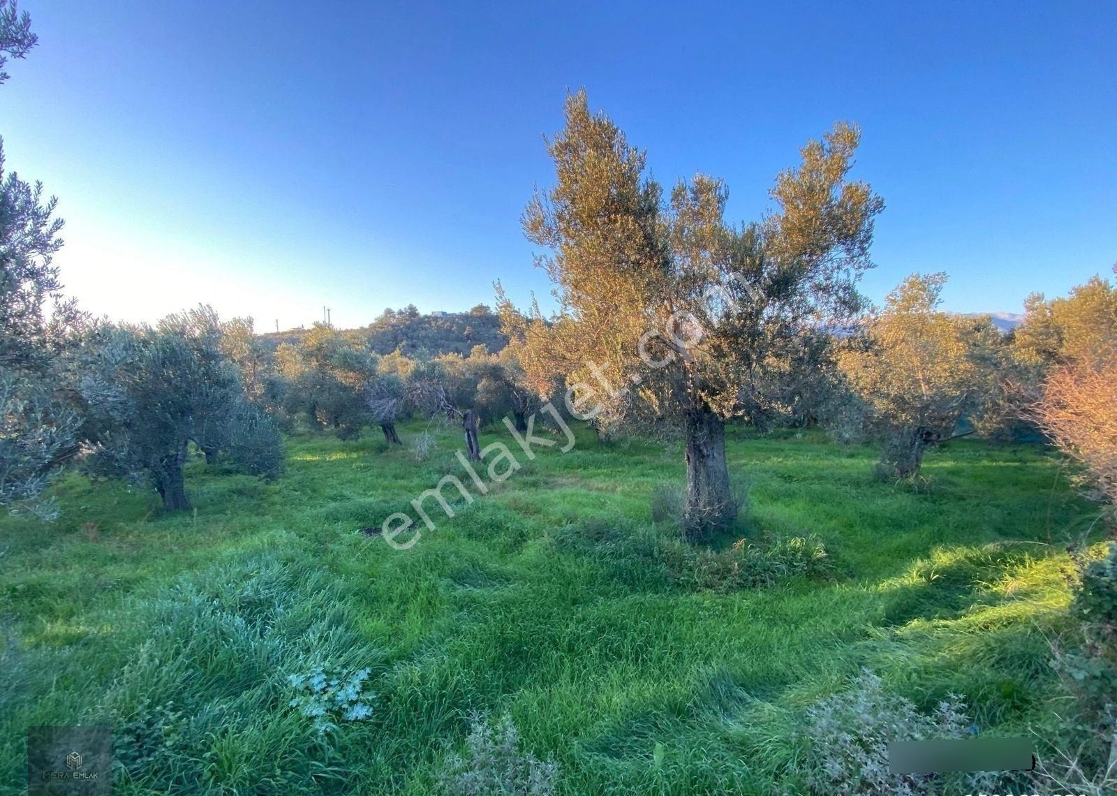 ▀▄mera Emlaktan Hamambaşı Mah. Asfalta Cephe 4.225m2 Zeytinlik - Görsel 34