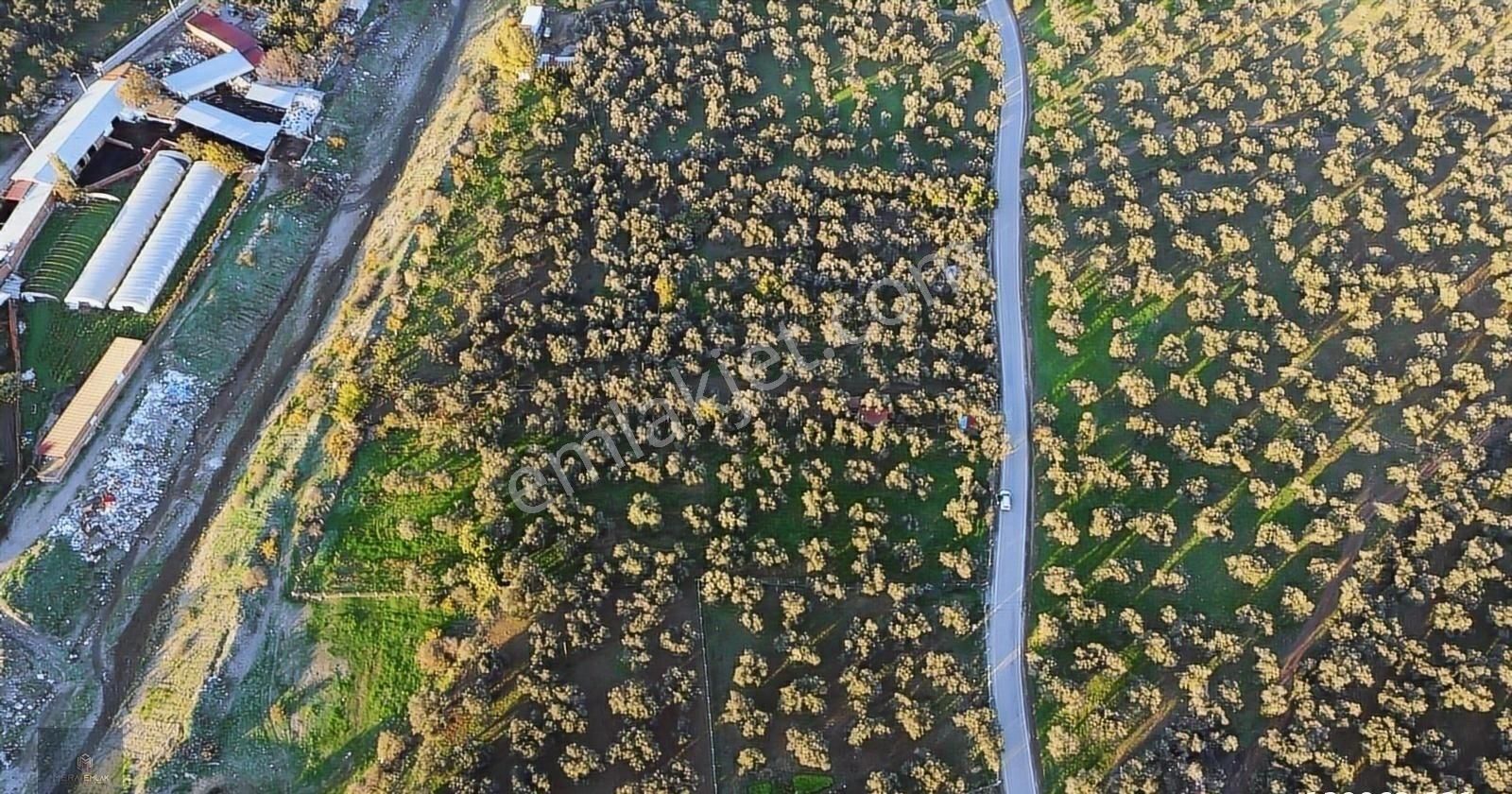 ▀▄mera Emlaktan Hamambaşı Mah. Asfalta Cephe 4.225m2 Zeytinlik - Görsel 10