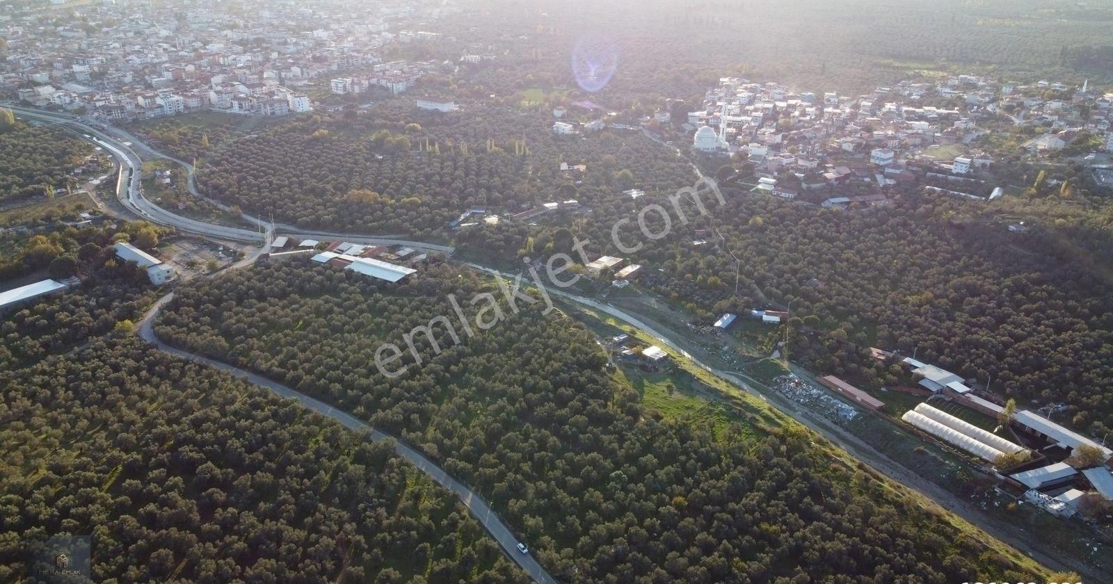 ▀▄mera Emlaktan Hamambaşı Mah. Asfalta Cephe 4.225m2 Zeytinlik - Görsel 6