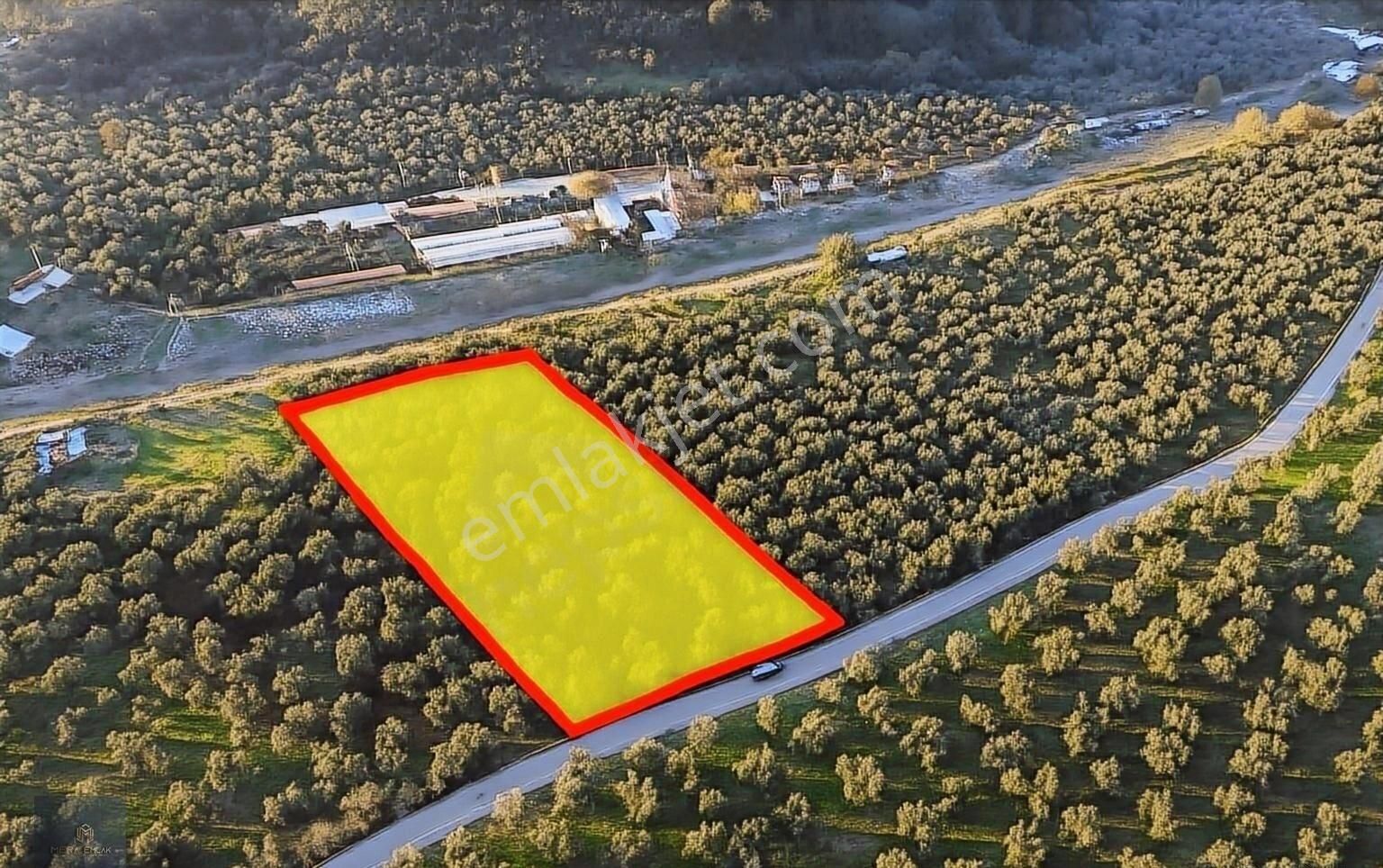 ▀▄mera Emlaktan Hamambaşı Mah. Asfalta Cephe 4.225m2 Zeytinlik - Görsel 2