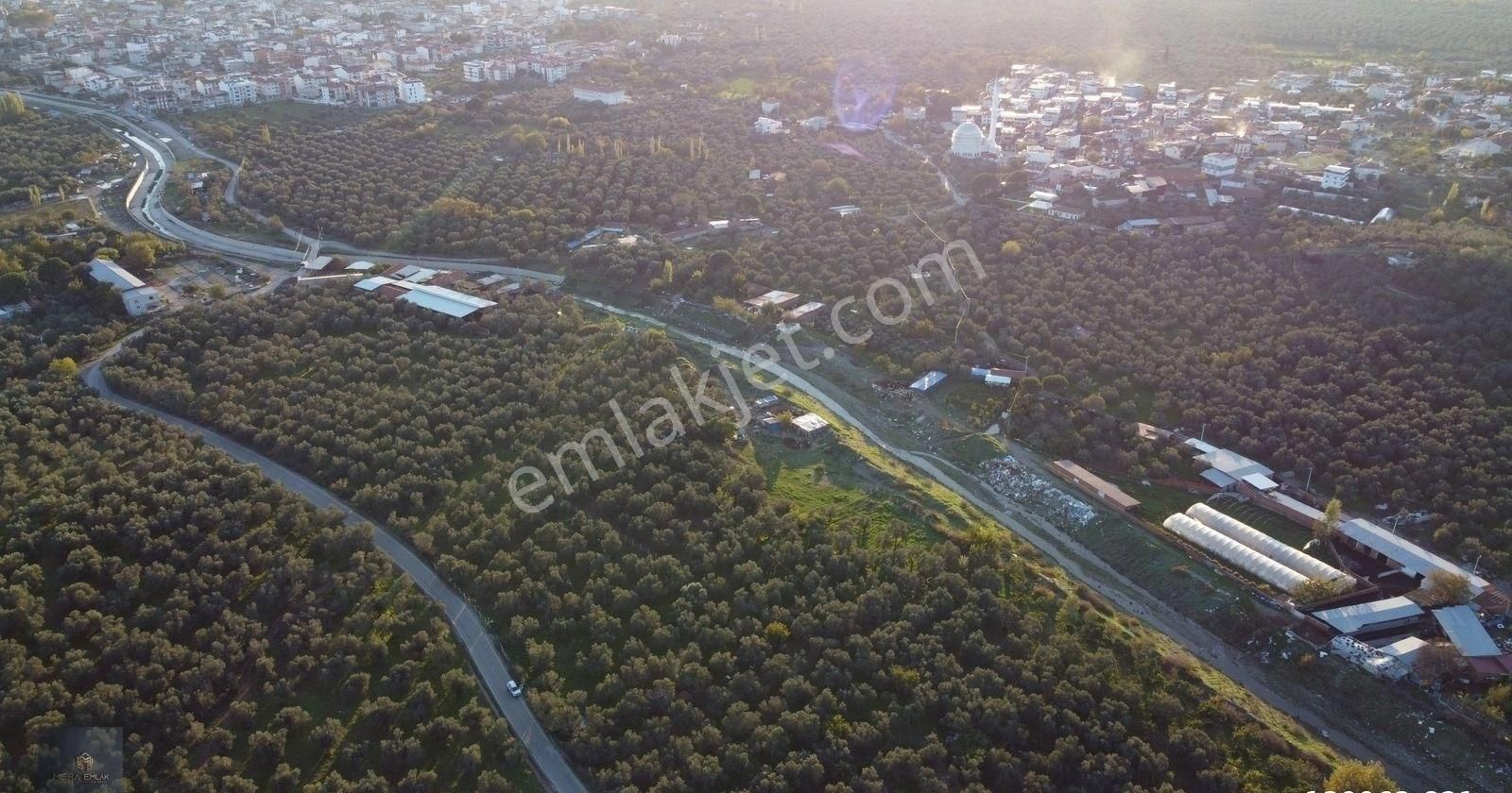 ▀▄mera Emlaktan Hamambaşı Mah. Asfalta Cephe 4.225m2 Zeytinlik - Görsel 19