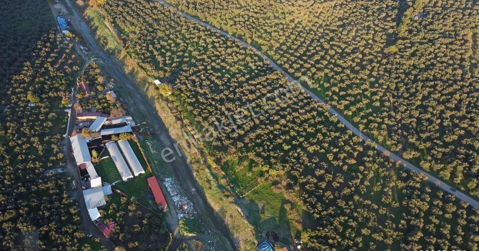 ▀▄mera Emlaktan Hamambaşı Mah. Asfalta Cephe 4.225m2 Zeytinlik - Görsel 18
