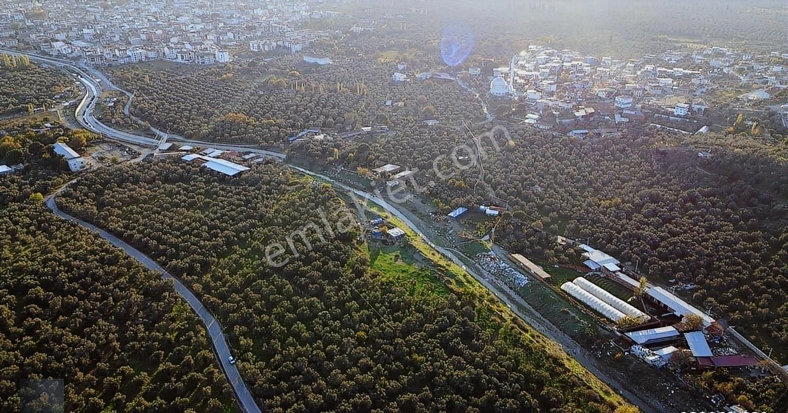 ▀▄mera Emlaktan Hamambaşı Mah. Asfalta Cephe 4.225m2 Zeytinlik - Görsel 29