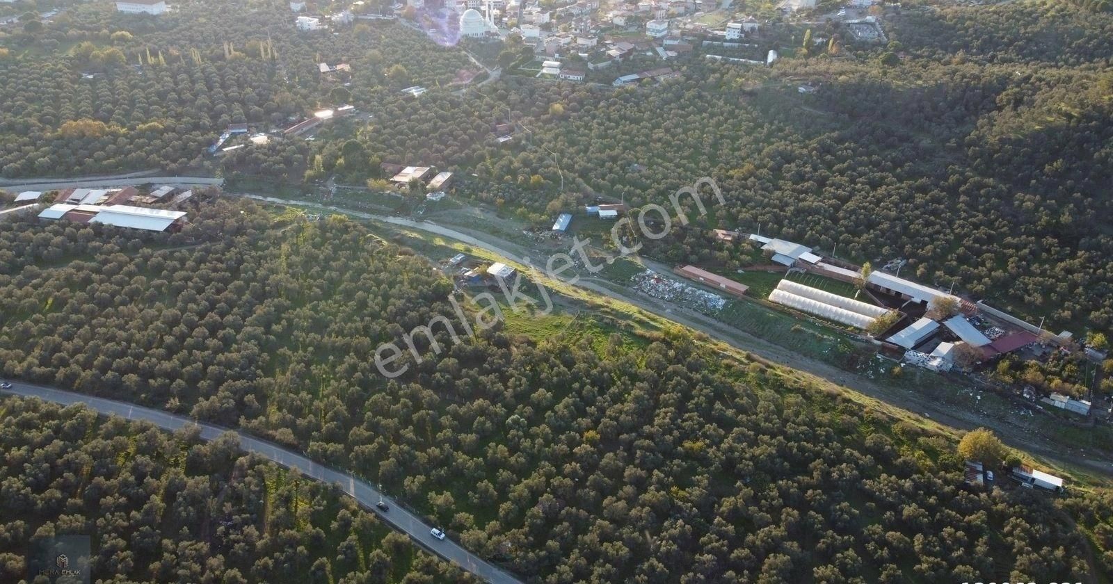 ▀▄mera Emlaktan Hamambaşı Mah. Asfalta Cephe 4.225m2 Zeytinlik - Görsel 4