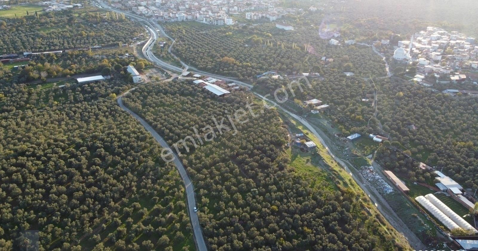 ▀▄mera Emlaktan Hamambaşı Mah. Asfalta Cephe 4.225m2 Zeytinlik - Görsel 16